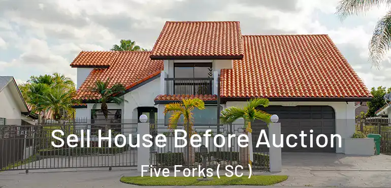 Sell House Before Auction Five Forks ( SC )