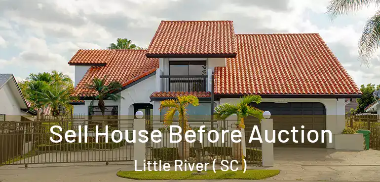 Sell House Before Auction Little River ( SC )