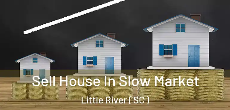 Sell House In Slow Market Little River ( SC )