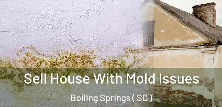 Sell House With Mold Issues Boiling Springs ( SC )