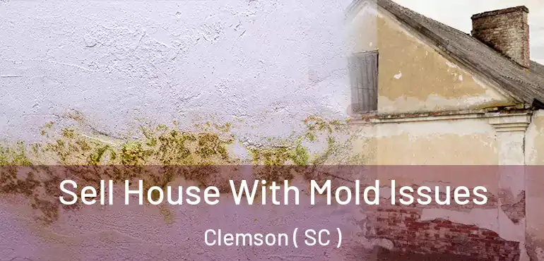 Sell House With Mold Issues Clemson ( SC )