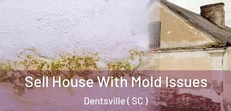 Sell House With Mold Issues Dentsville ( SC )