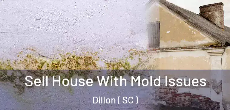 Sell House With Mold Issues Dillon ( SC )