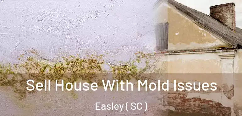 Sell House With Mold Issues Easley ( SC )
