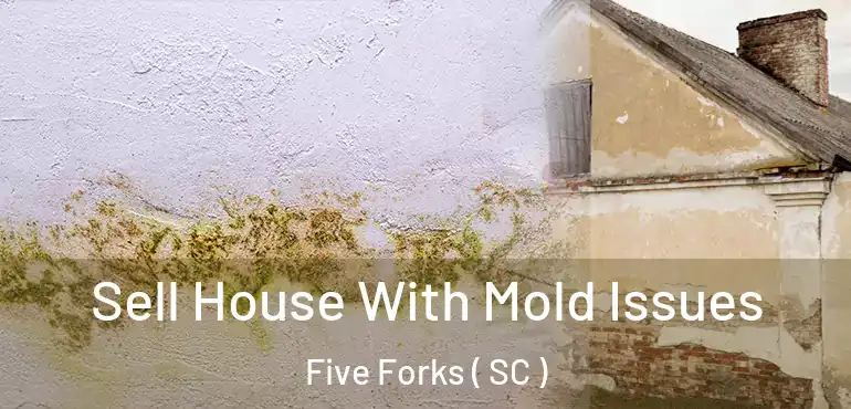 Sell House With Mold Issues Five Forks ( SC )