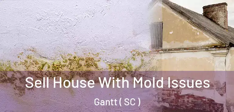 Sell House With Mold Issues Gantt ( SC )