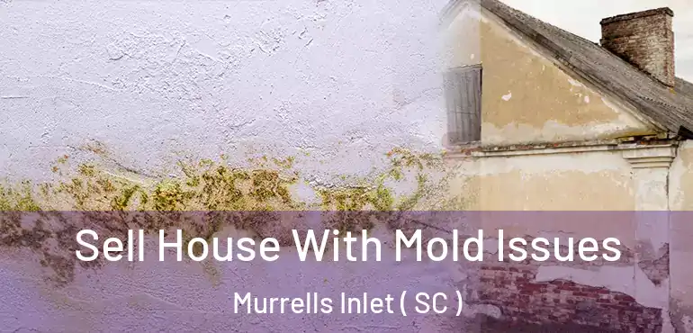 Sell House With Mold Issues Murrells Inlet ( SC )