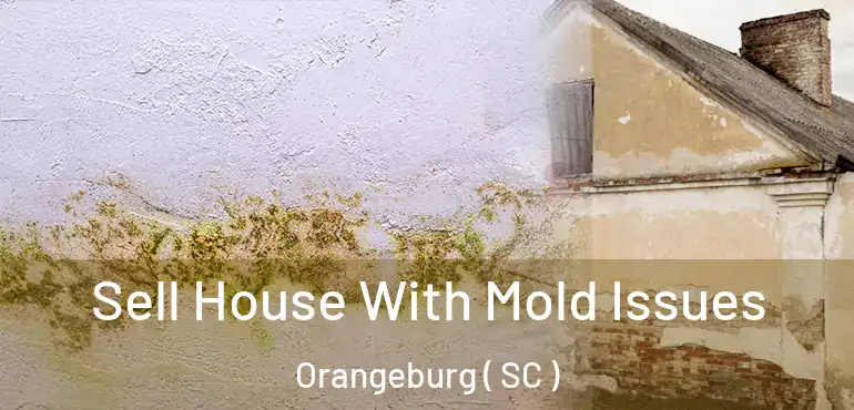 Sell House With Mold Issues Orangeburg ( SC )