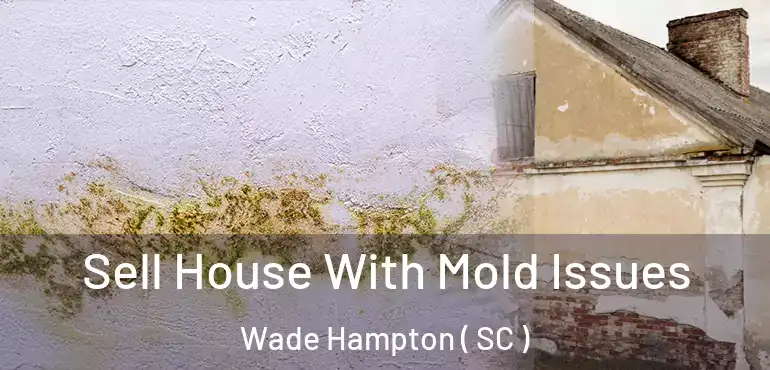 Sell House With Mold Issues Wade Hampton ( SC )