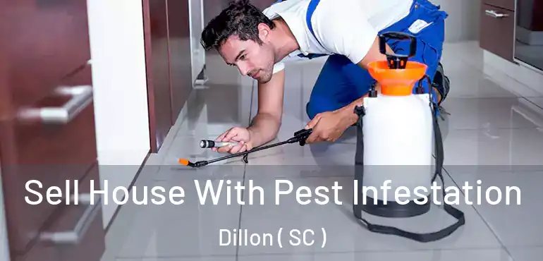 Sell House With Pest Infestation Dillon ( SC )