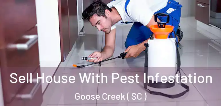 Sell House With Pest Infestation Goose Creek ( SC )